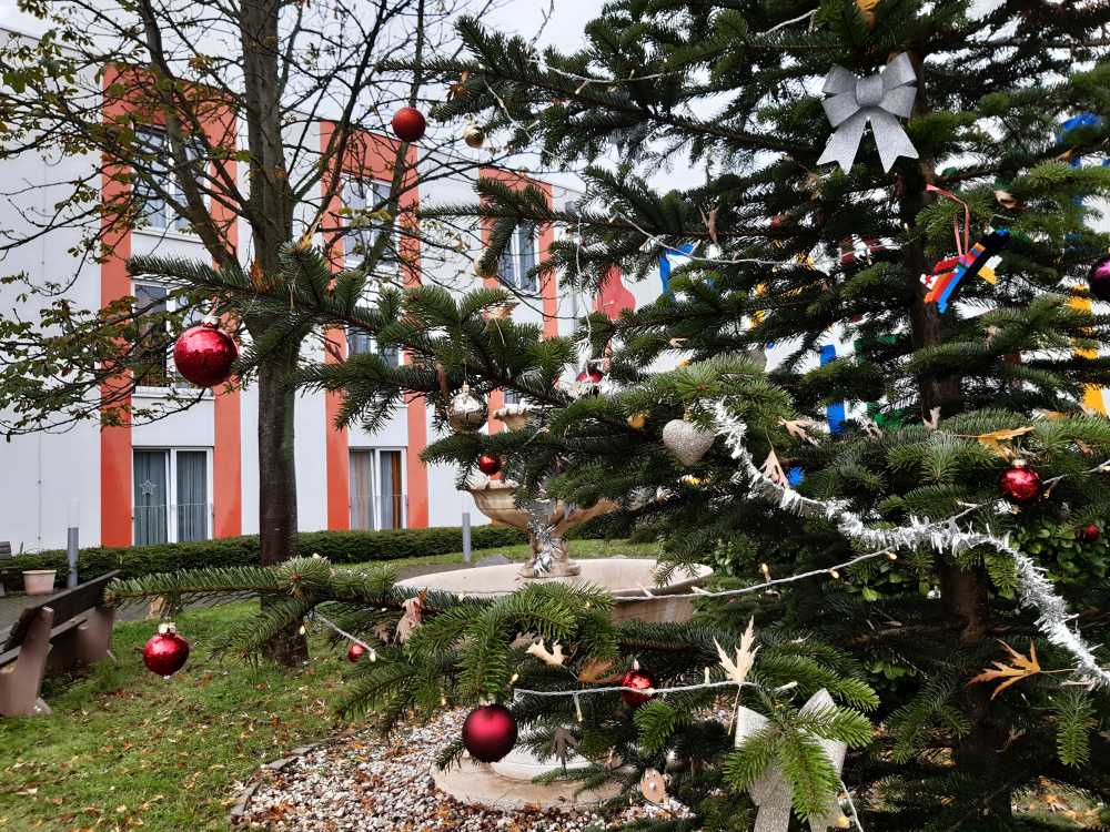 Vor einem Gebäude steht ein geschmückter Weihnachtsbaum